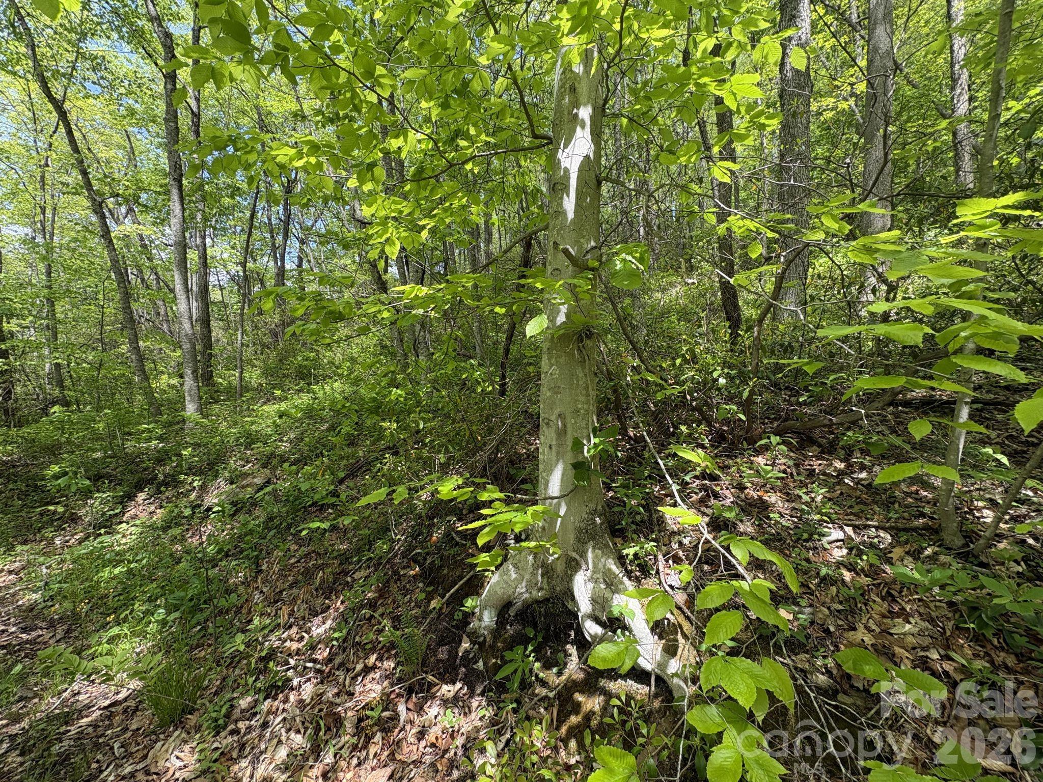999999 Harwood Road Barnardsville NC 28709