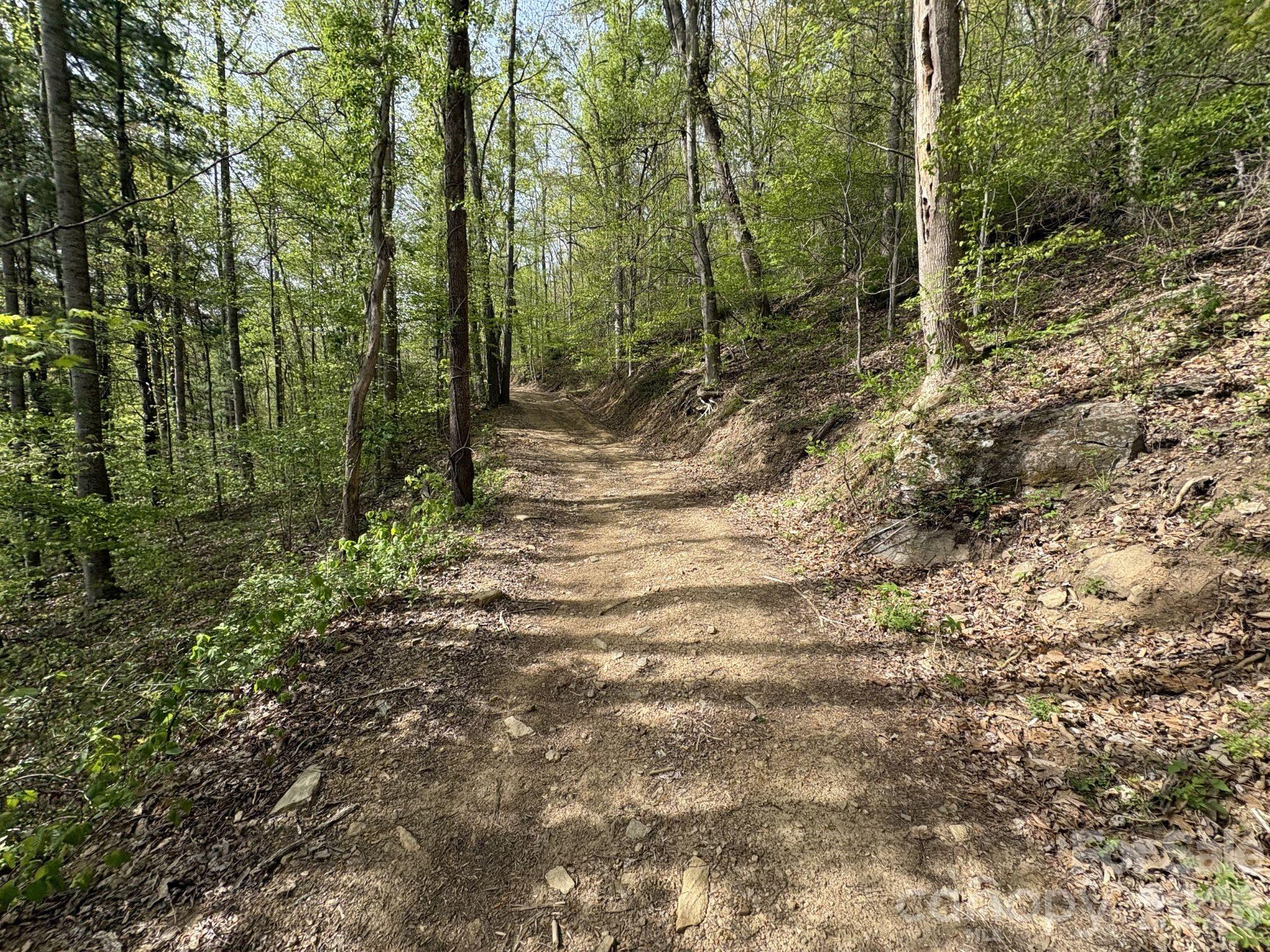 999999 Harwood Road Barnardsville NC 28709