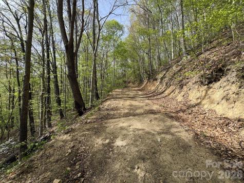 999999 Harwood Road Barnardsville NC 28709