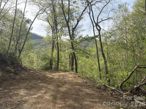 999999 Harwood Road Barnardsville NC 28709
