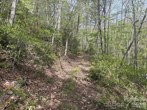 999999 Harwood Road Barnardsville NC 28709