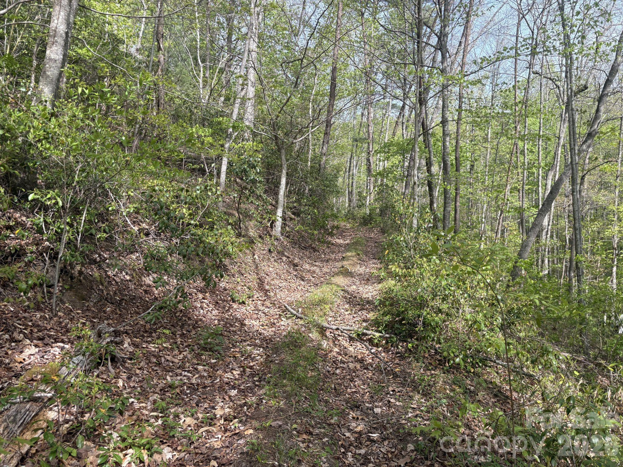 999999 Harwood Road Barnardsville NC 28709