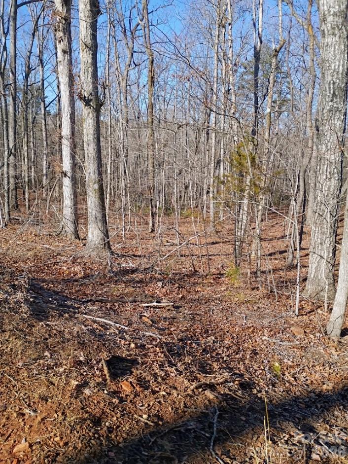 00 County Line Road S Rutherfordton NC 28139