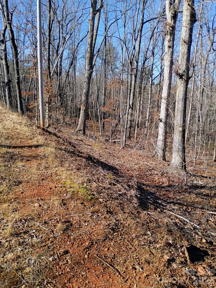 00 County Line Road S Rutherfordton NC 28139