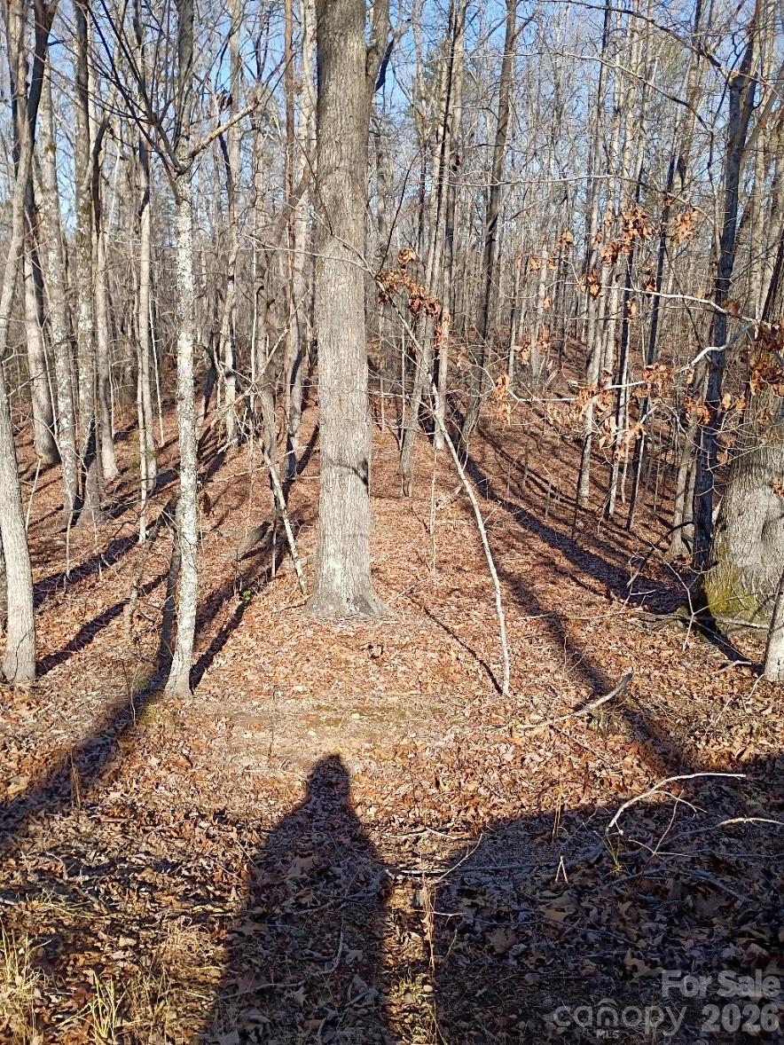 00 County Line Road S Rutherfordton NC 28139