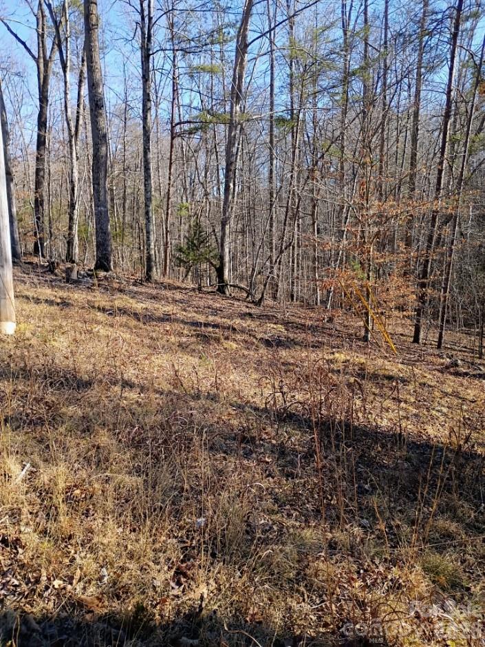 00 County Line Road S Rutherfordton NC 28139
