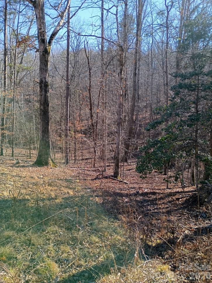 00 County Line Road S Rutherfordton NC 28139
