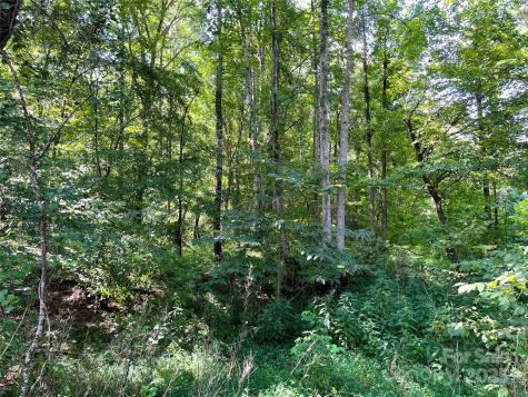 Lot 3b Broad River Highlands Drive Mooresboro NC 28114