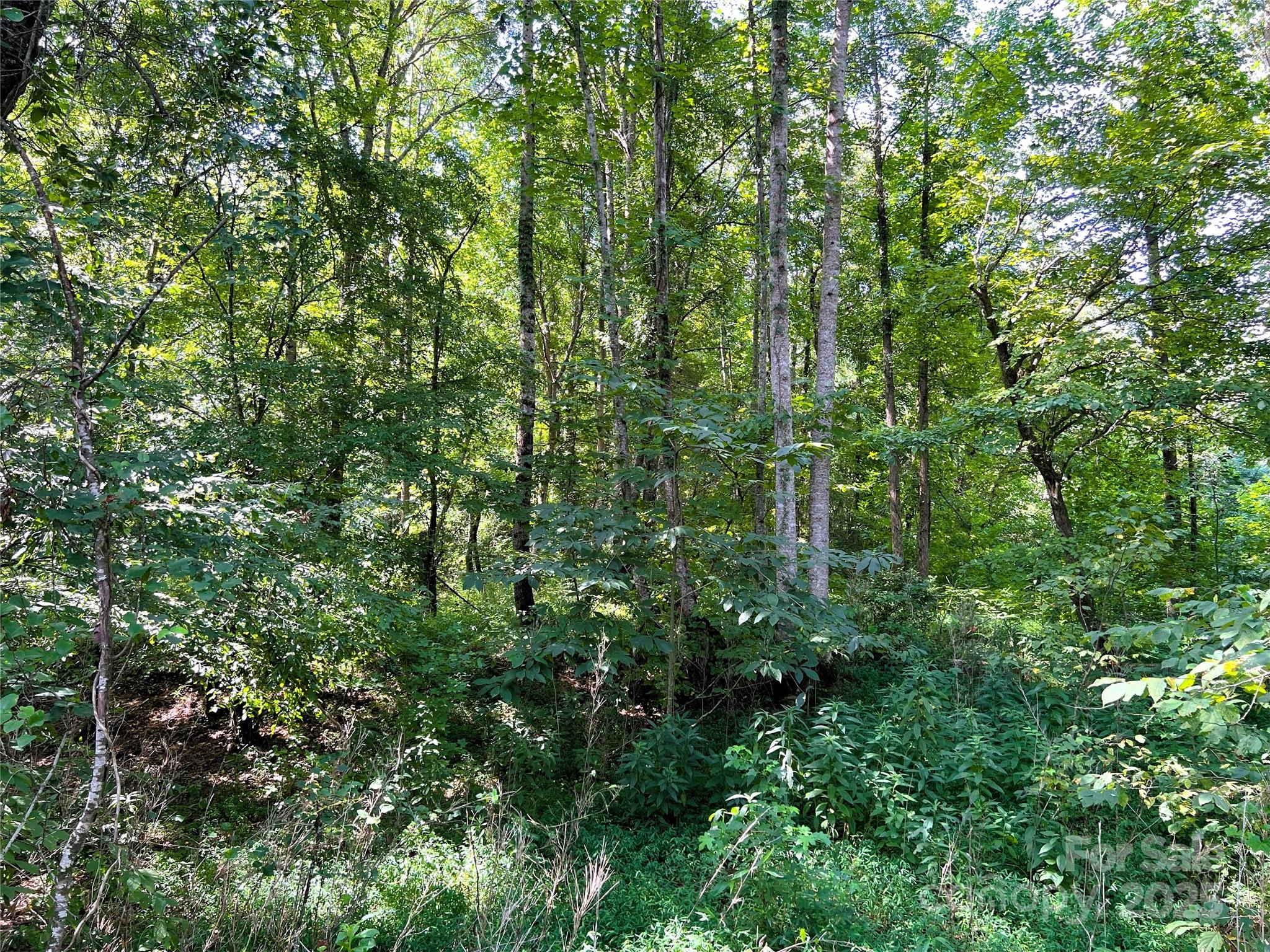 Lot 3b Broad River Highlands Drive Mooresboro NC 28114