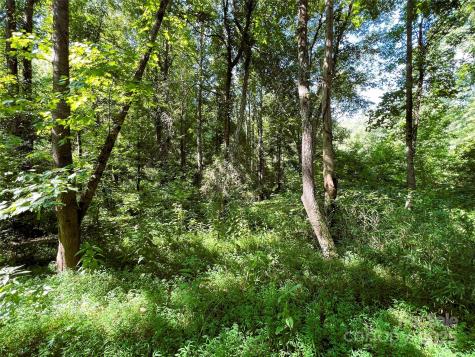 Lot 3b Broad River Highlands Drive Mooresboro NC 28114