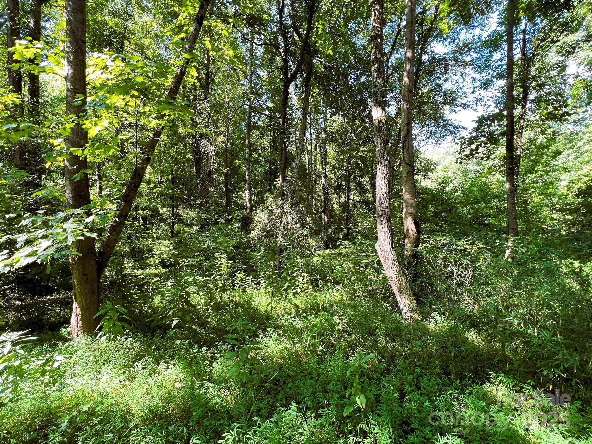 Lot 3b Broad River Highlands Drive Mooresboro NC 28114