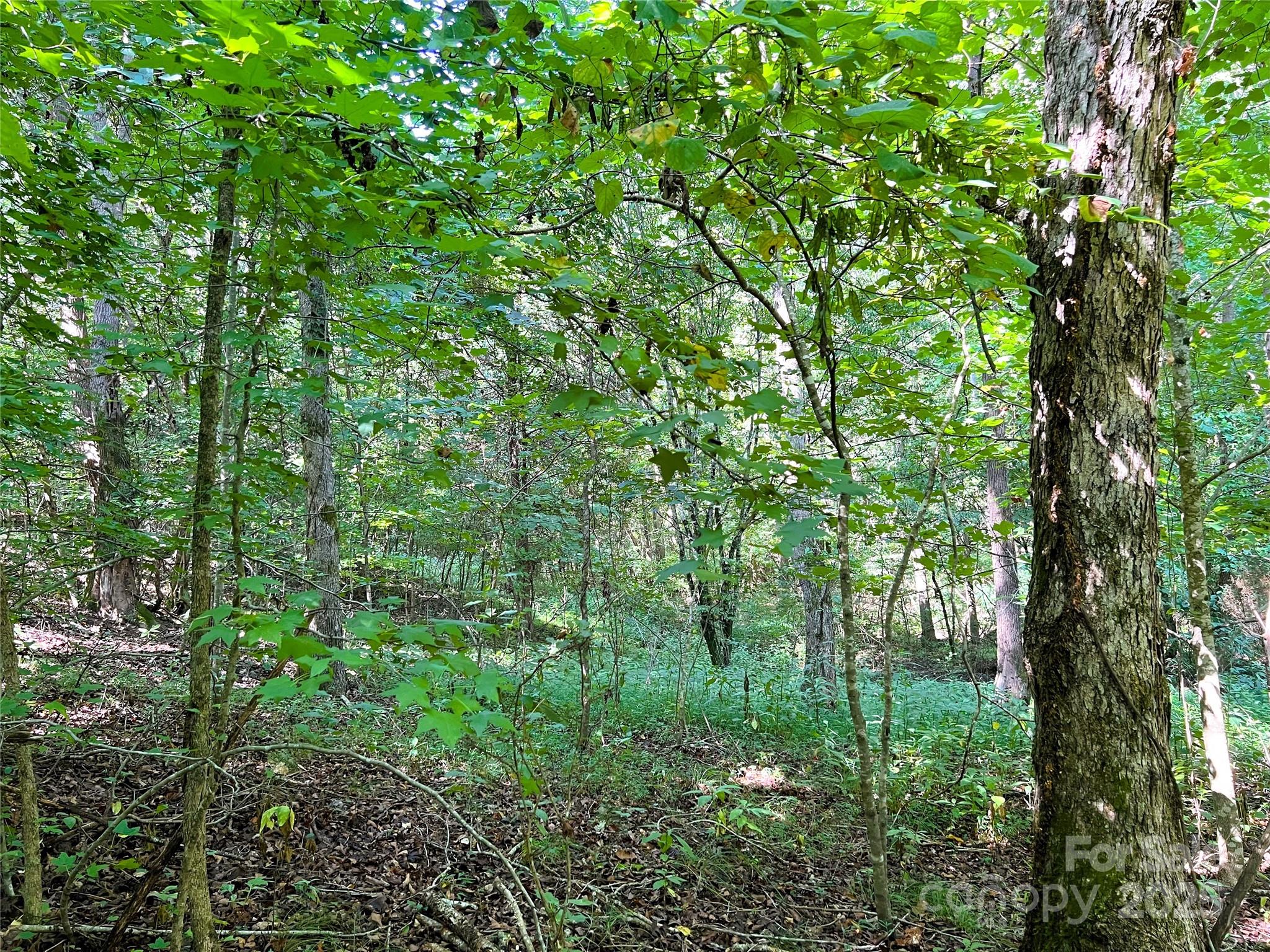 Lot 3b Broad River Highlands Drive Mooresboro NC 28114