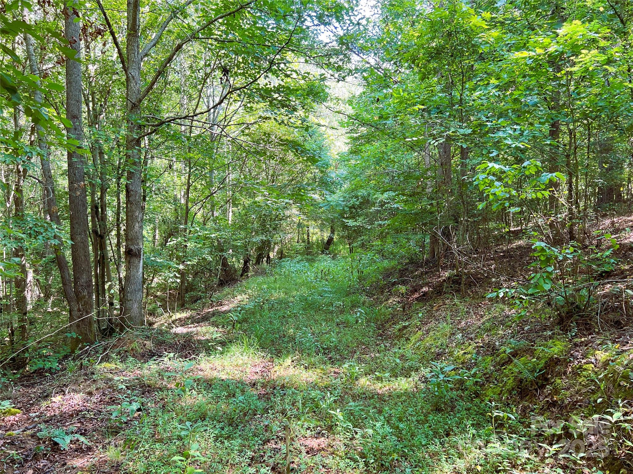 Lot 3b Broad River Highlands Drive Mooresboro NC 28114