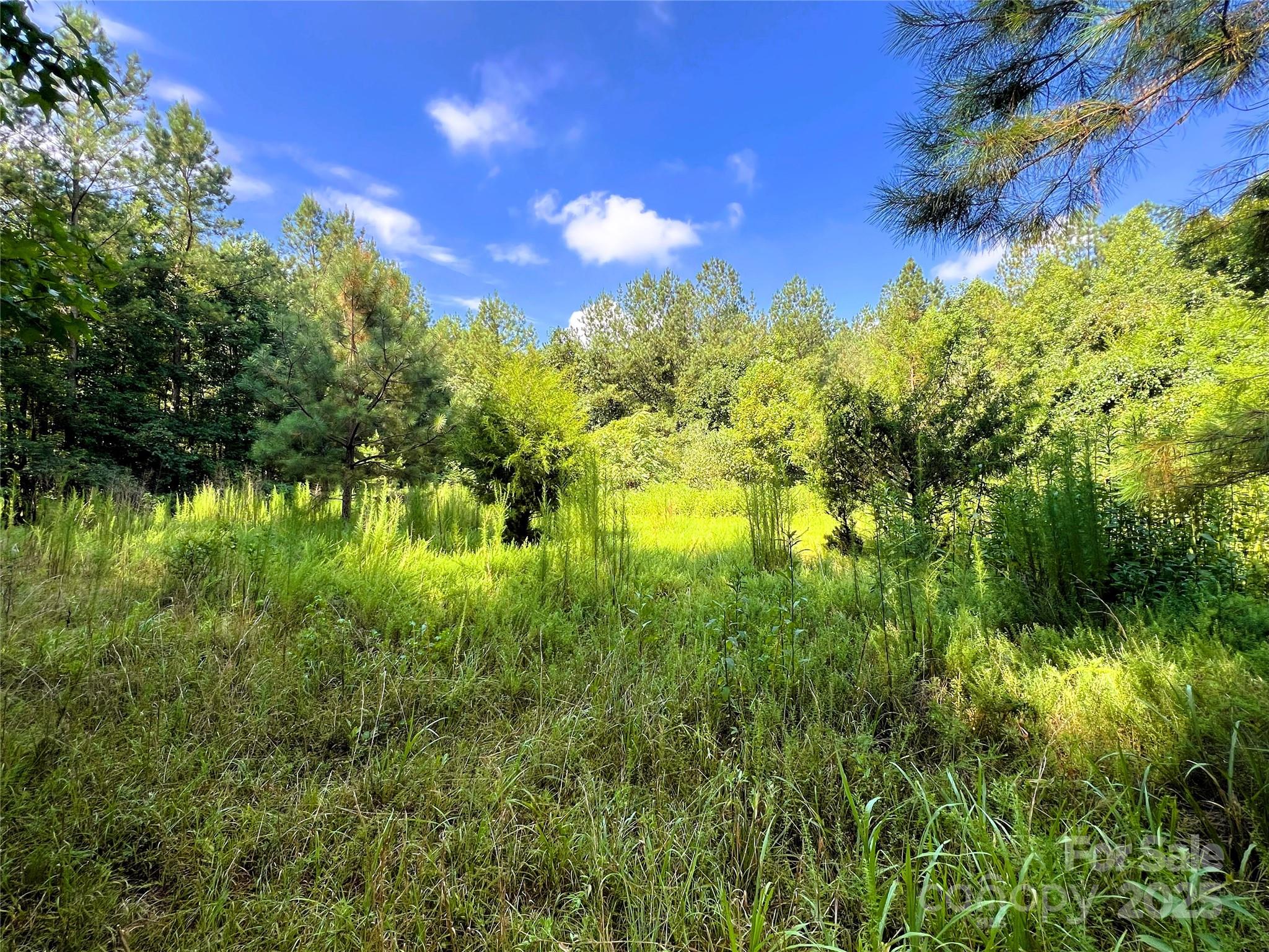Lot 3b Broad River Highlands Drive Mooresboro NC 28114