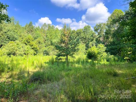Lot 3b Broad River Highlands Drive Mooresboro NC 28114