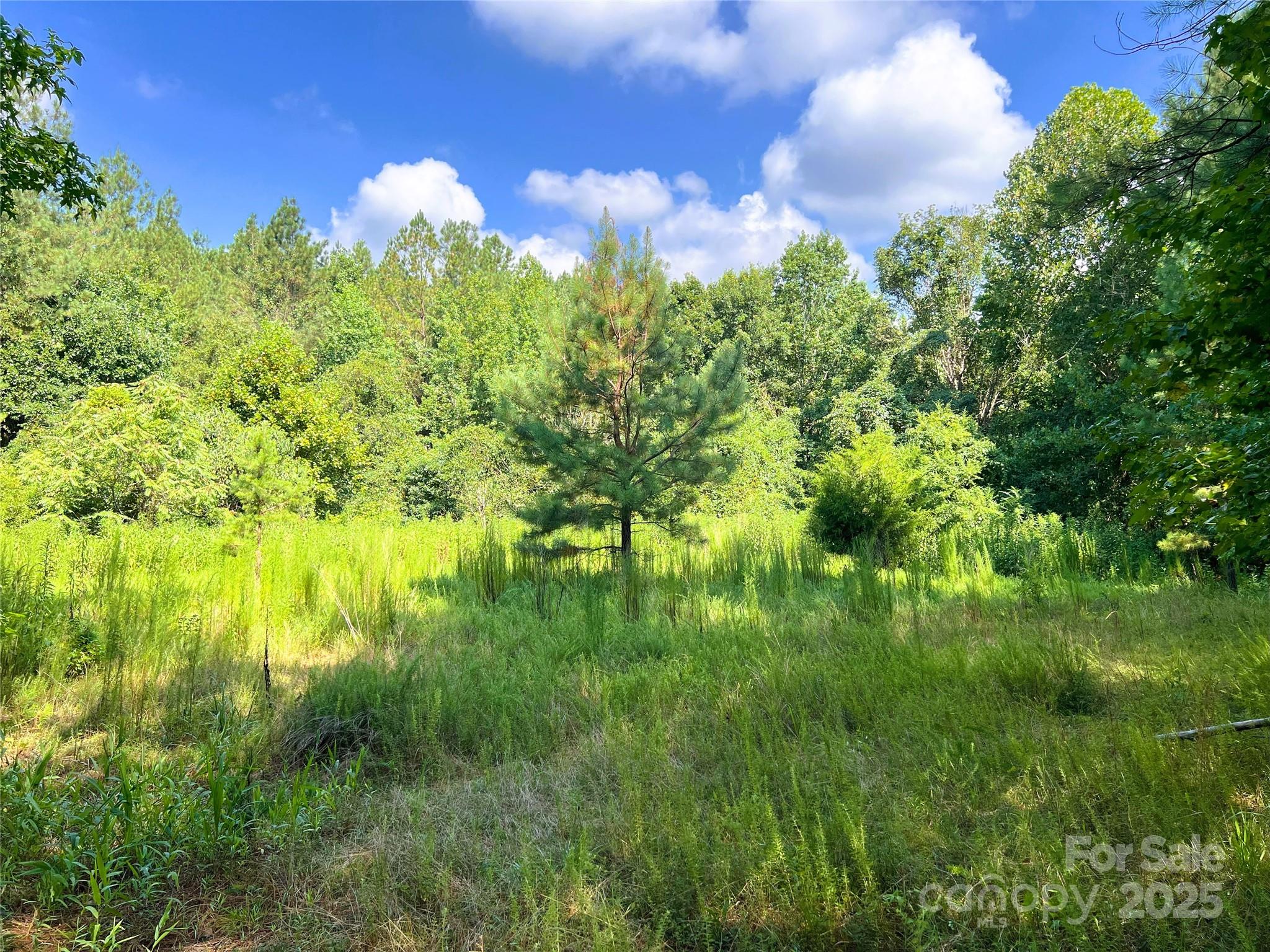 Lot 3b Broad River Highlands Drive Mooresboro NC 28114