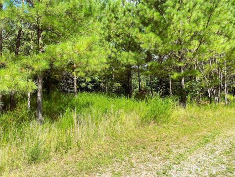 Lot 3b Broad River Highlands Drive Mooresboro NC 28114
