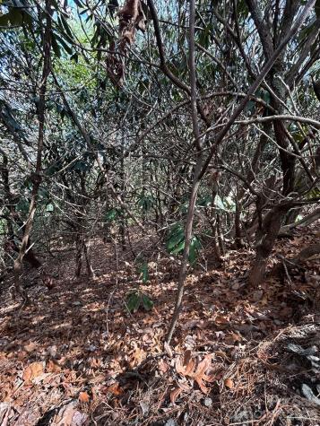 Lot 38 High Peak Road Hendersonville NC 28739