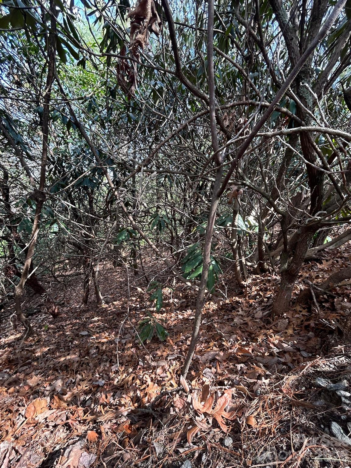Lot 38 High Peak Road Hendersonville NC 28739