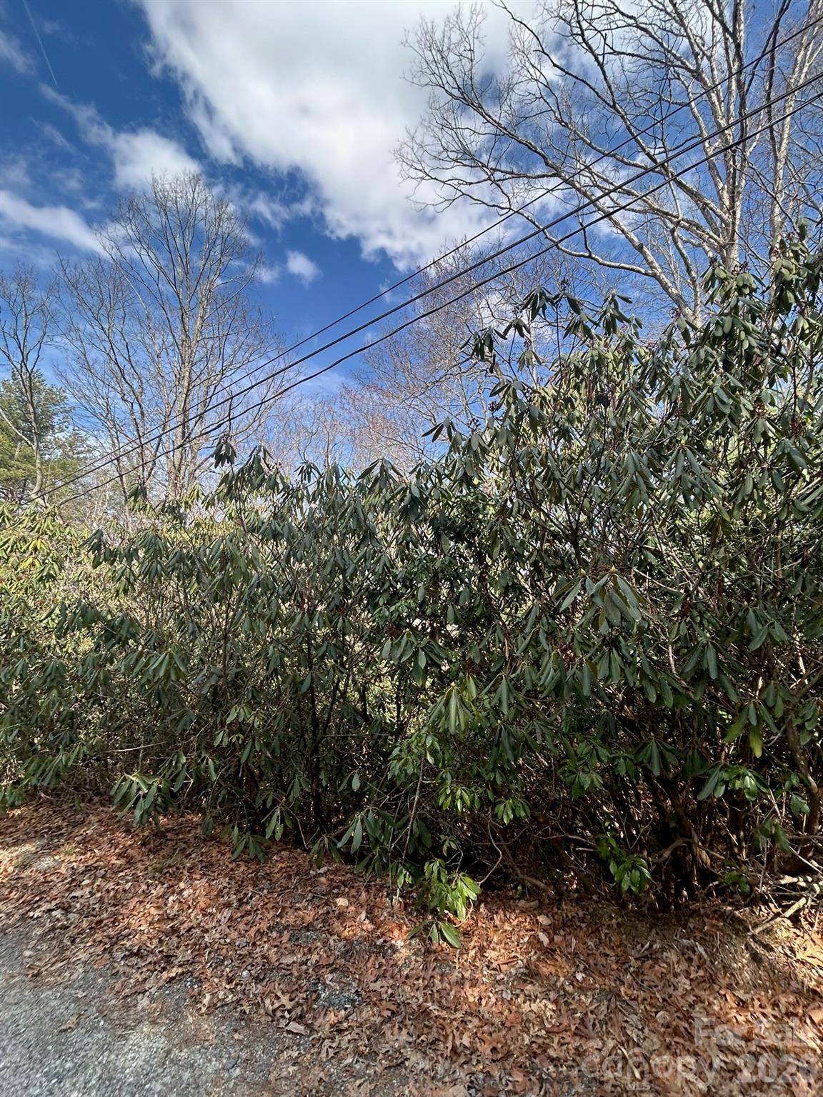 Lot 38 High Peak Road Hendersonville NC 28739