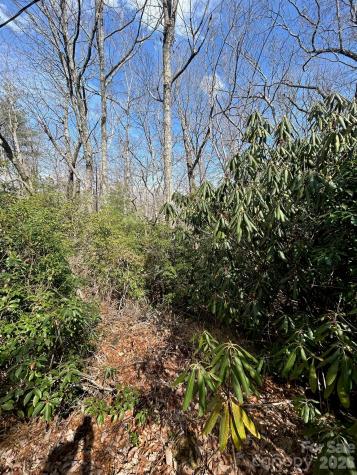 Lot 38 High Peak Road Hendersonville NC 28739