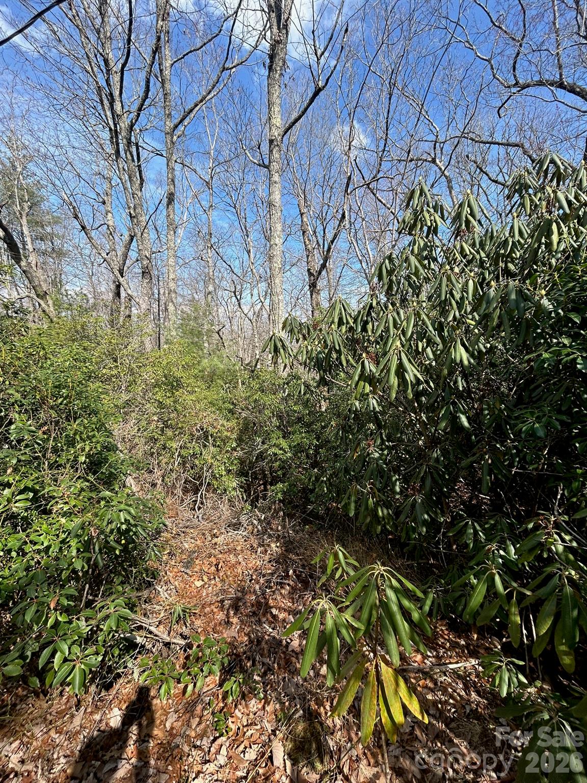 Lot 38 High Peak Road Hendersonville NC 28739