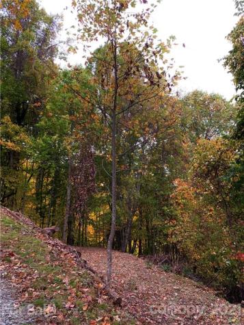 375 Buck Drive Hot Springs NC 28743