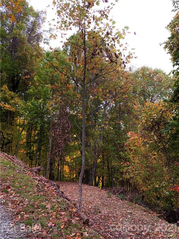 375 Buck Drive Hot Springs NC 28743