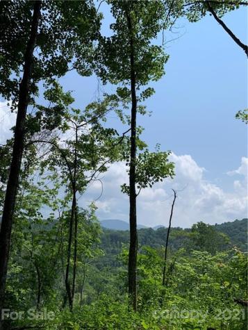 375 Buck Drive Hot Springs NC 28743