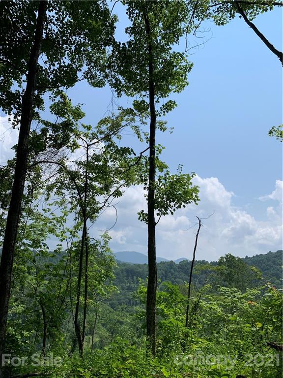 375 Buck Drive Hot Springs NC 28743