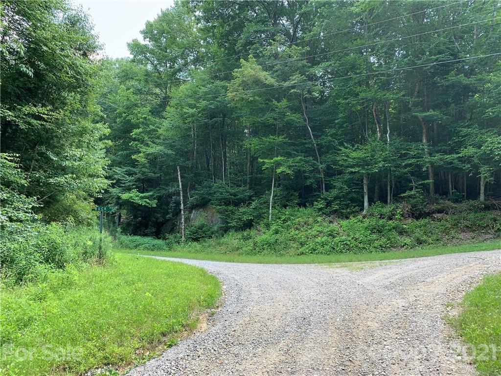 375 Buck Drive Hot Springs NC 28743
