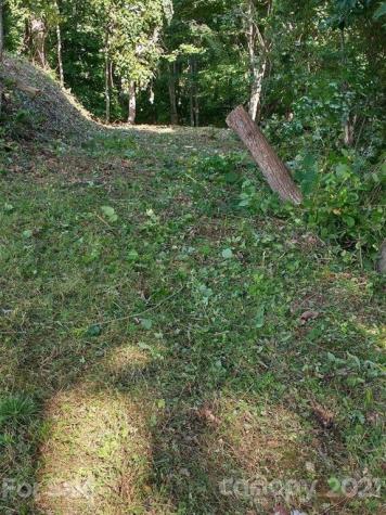 375 Buck Drive Hot Springs NC 28743