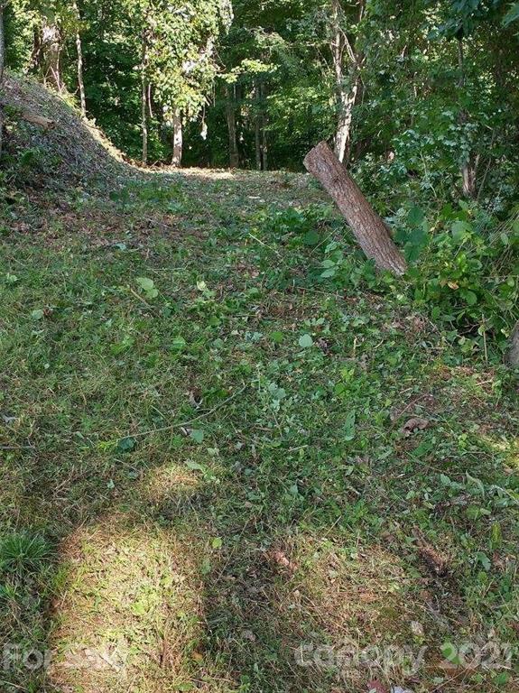 375 Buck Drive Hot Springs NC 28743