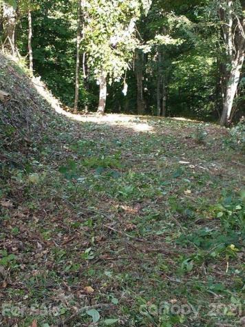 375 Buck Drive Hot Springs NC 28743