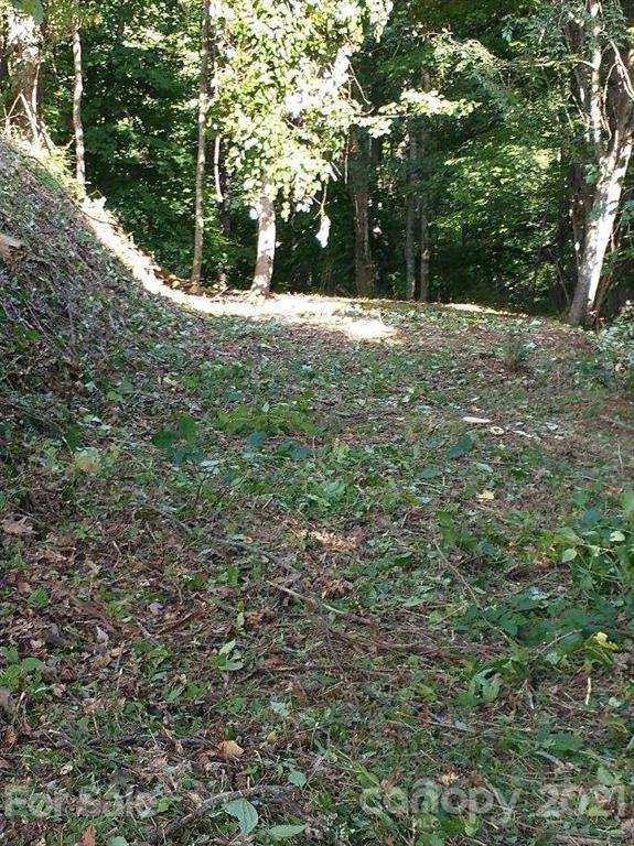 375 Buck Drive Hot Springs NC 28743
