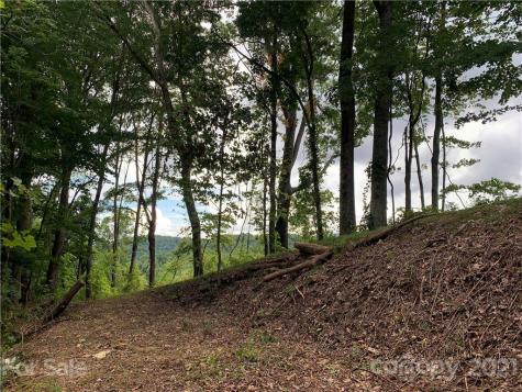 375 Buck Drive Hot Springs NC 28743