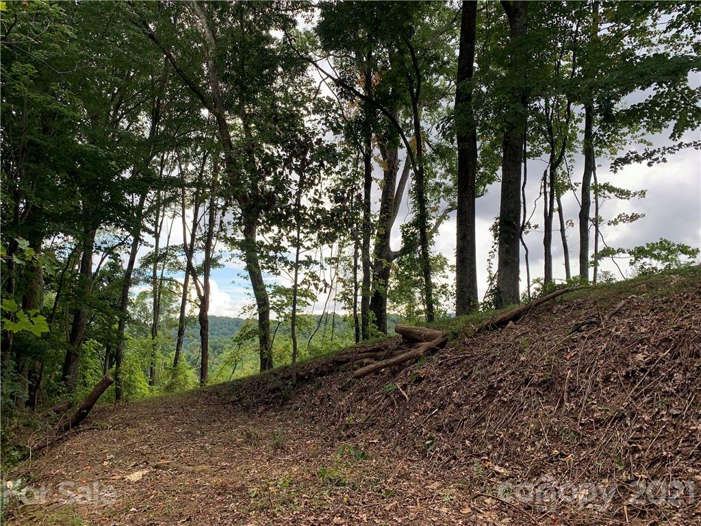 375 Buck Drive Hot Springs NC 28743