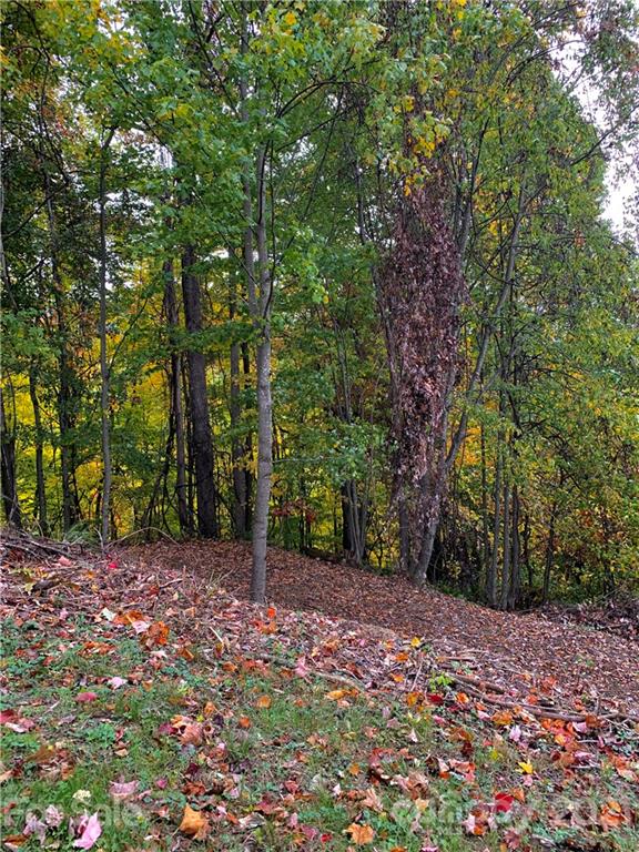375 Buck Drive Hot Springs NC 28743
