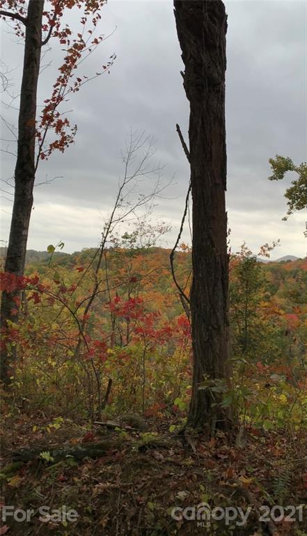 375 Buck Drive Hot Springs NC 28743