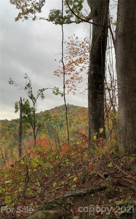 375 Buck Drive Hot Springs NC 28743
