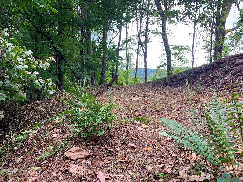375 Buck Drive Hot Springs NC 28743