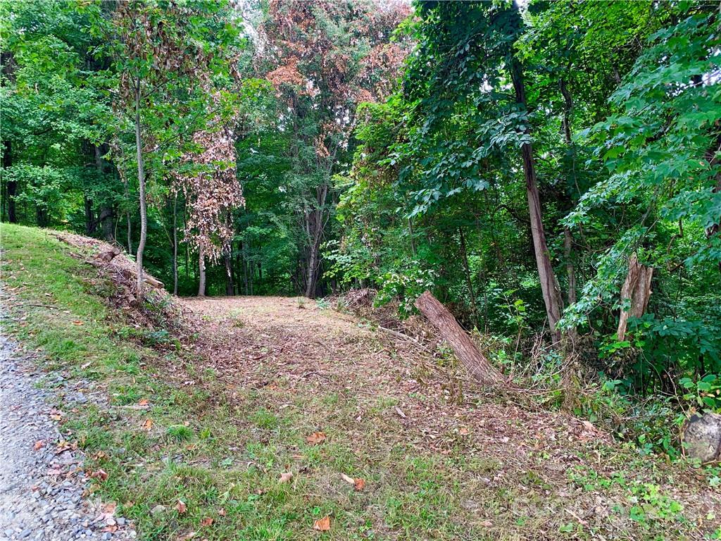 375 Buck Drive Hot Springs NC 28743