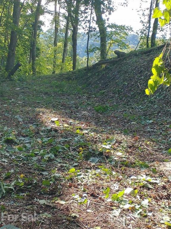 375 Buck Drive Hot Springs NC 28743