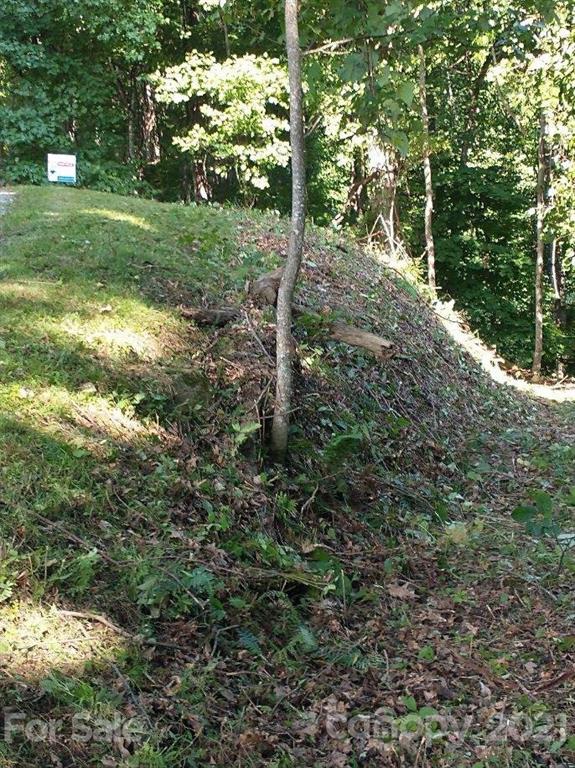 375 Buck Drive Hot Springs NC 28743