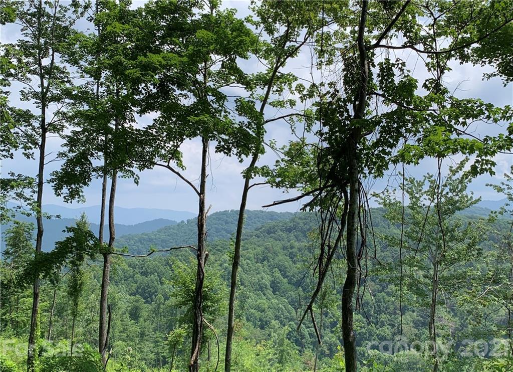 375 Buck Drive Hot Springs NC 28743