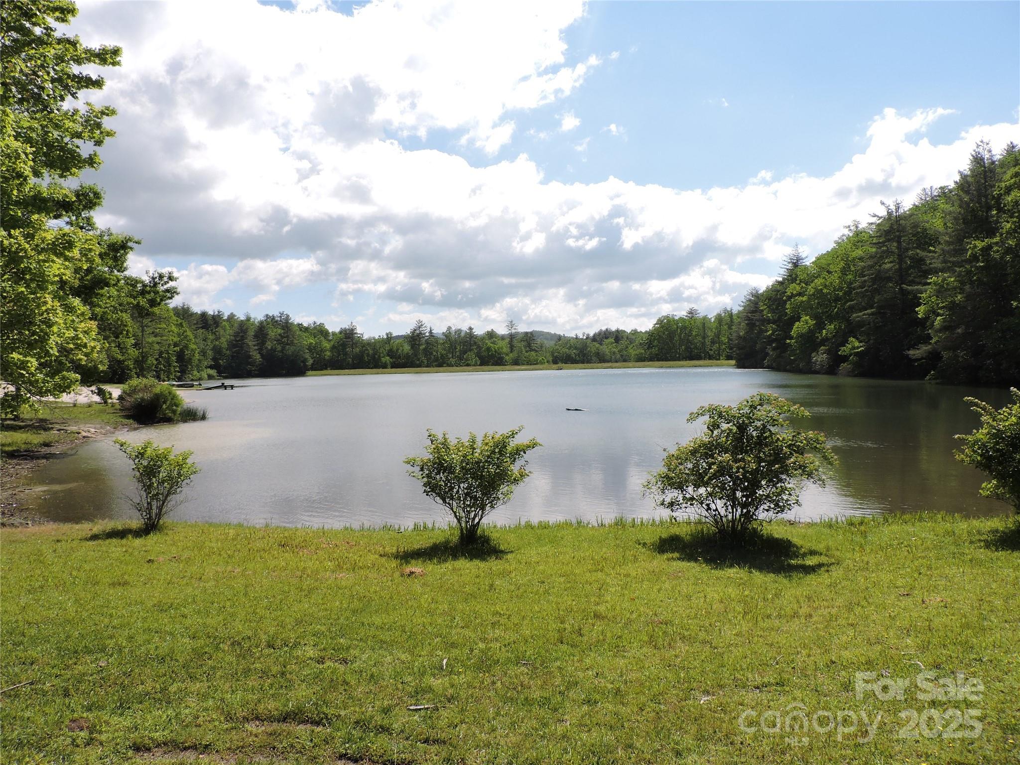 0 Swiss Pine Lake Drive Spruce Pine NC 28777