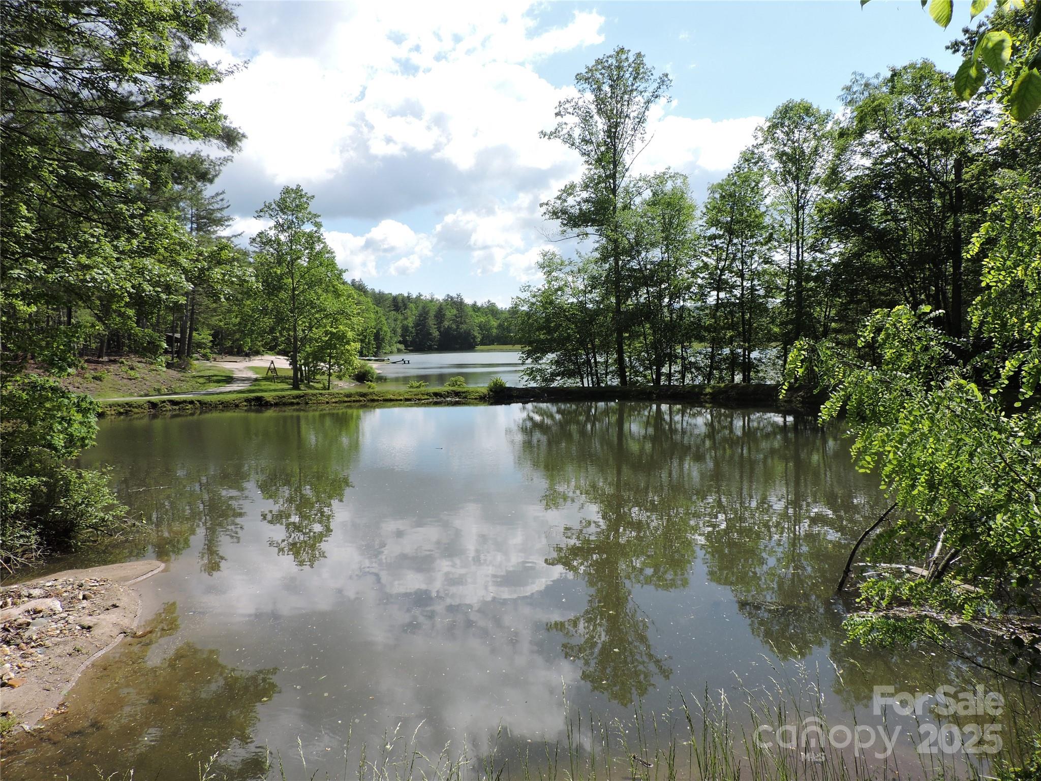 0 Swiss Pine Lake Drive Spruce Pine NC 28777
