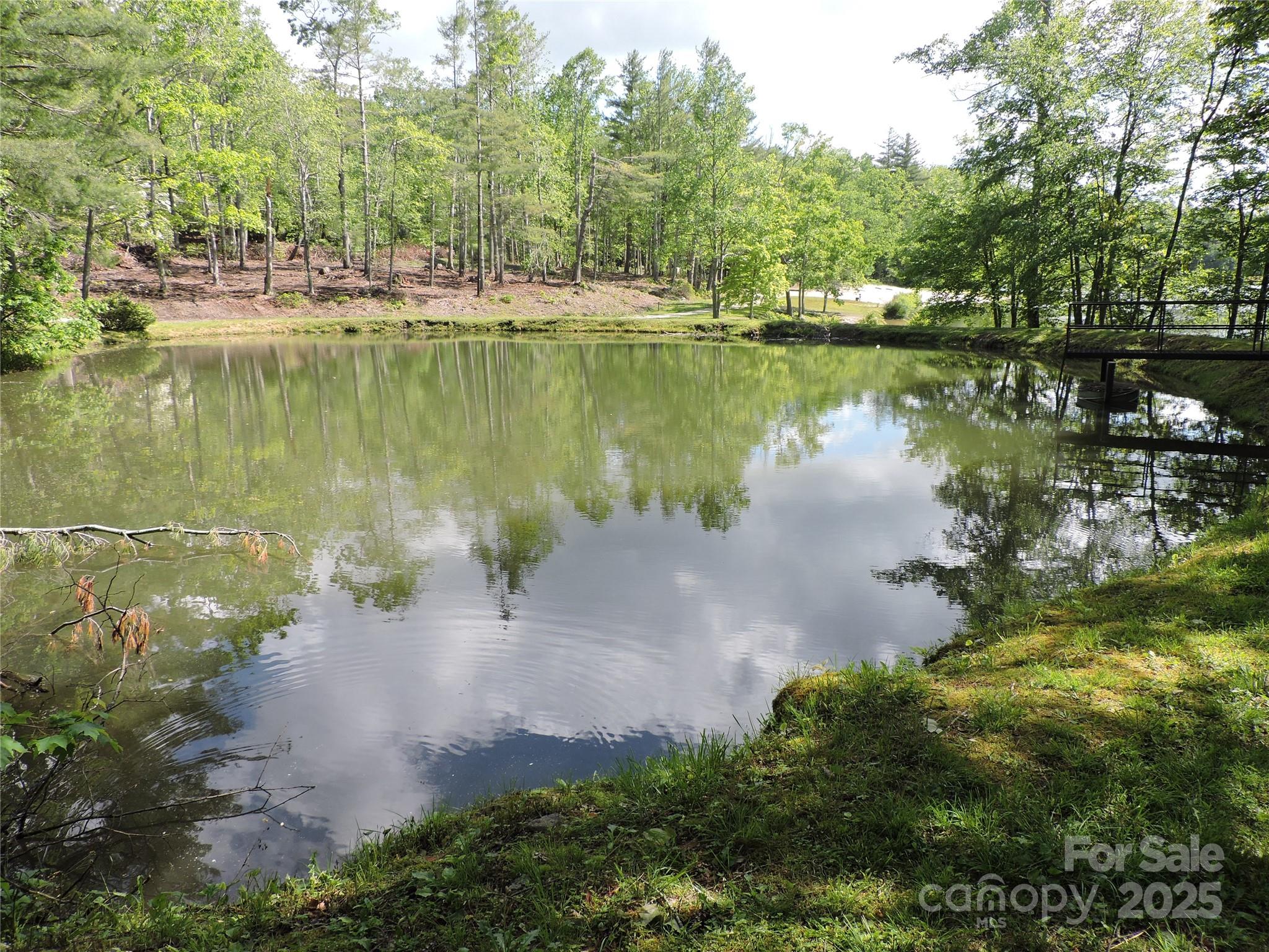 0 Swiss Pine Lake Drive Spruce Pine NC 28777