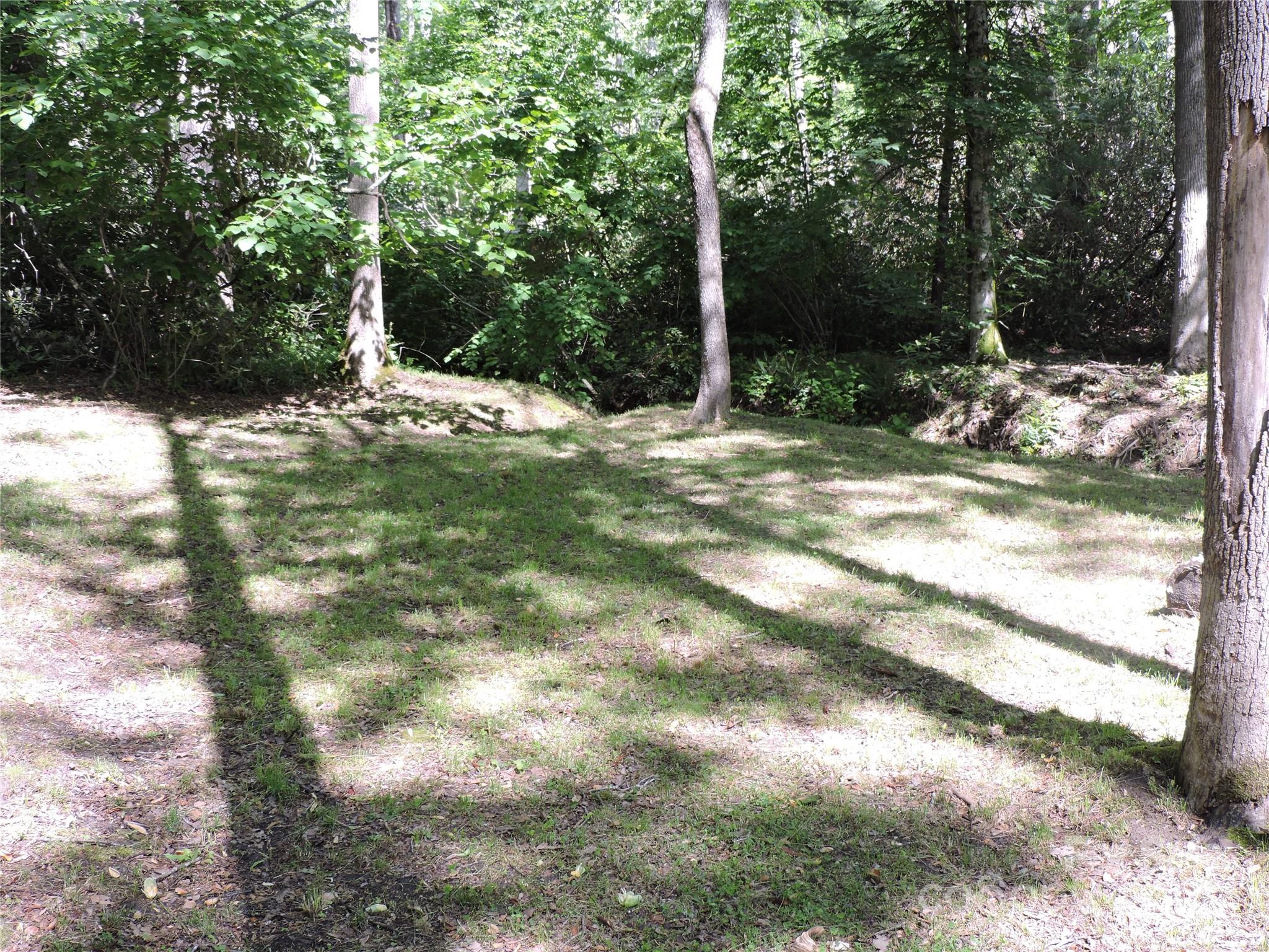 0 Swiss Pine Lake Drive Spruce Pine NC 28777