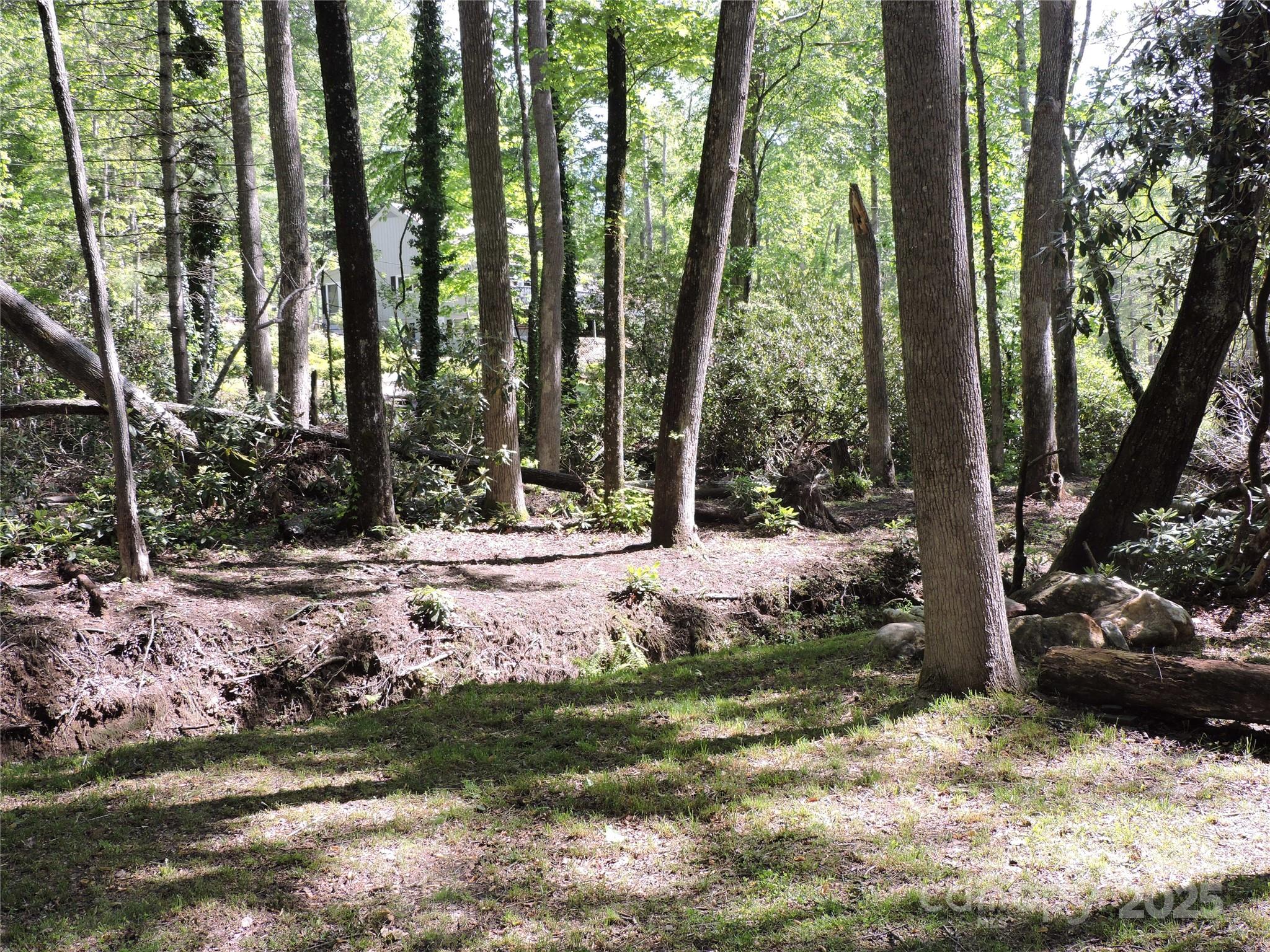 0 Swiss Pine Lake Drive Spruce Pine NC 28777